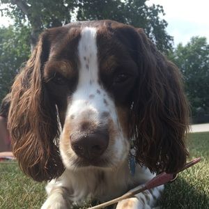 Meet your Posher, Kylie